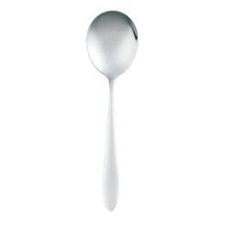 Global Soup Spoon DOZEN