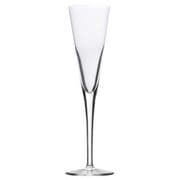 Speciality Glassware