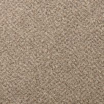 Abingdon: Aqua Pro-Tec Berber Elite - Biscotti