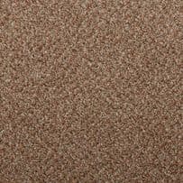 Abingdon: Aqua Pro-Tec Berber Elite - Caramel Late