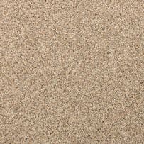 Abingdon: Aqua Pro-Tec Berber Elite - Cookie Cream