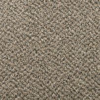 Abingdon: Aqua Pro-Tec Berber Elite - Shingle