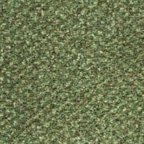 Abingdon: Aqua Pro-Tec Contract Collection - Forest Fern