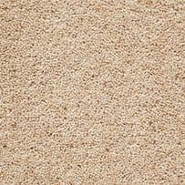 Abingdon: Charter Supreme Gold - Almond Cream