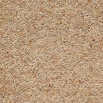Abingdon: Charter Supreme Gold - Desert sand
