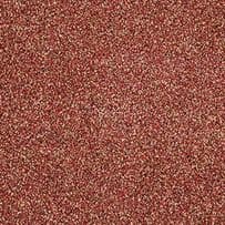 Abingdon: Stainfree Berber Deluxe - Calypso