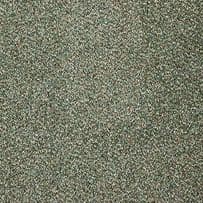 Abingdon: Stainfree Berber Deluxe - Fern