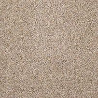 Abingdon: Stainfree Berber Deluxe - Granite
