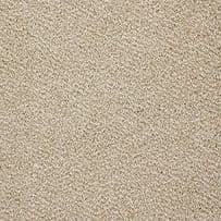 Abingdon: Stainfree Berber Deluxe - Putty