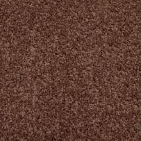 Abingdon: Stainfree Boutique - Mocha