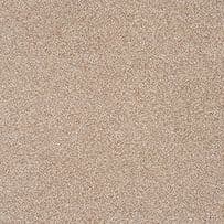 Abingdon: Stainfree Finepoint Twist - Biscuit