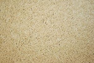 Regency Carefree Carpets: Luxor - Balsa