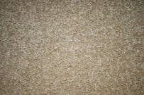 Regency Harewood - Berber