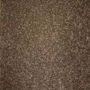Regency Carefree Carpets: Trident - Bronze