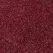 jhs Premier: Palmera Plus - Claret