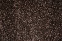 Regency: Nobelesque - Cocoa