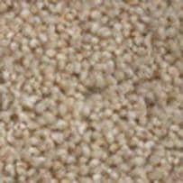 jhs Housebuilder Collection: Longdon Twist Premier - Corn