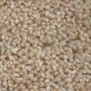 jhs Commercial Carpet: Housebuilder: Longdon Twist Premier - Corn