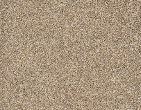 Crown Floors: Avondale - Eagle Owl