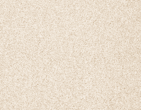 Crown Floors: Avondale - Winter Bloom