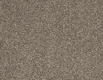 Crown Floors: Kent House - Noble Horse