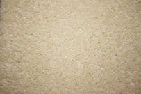 Regency: Nobelesque - Ivory