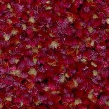 jhs Commercial Carpet: Impervious Cut Pile: Hospi-Style - Raspberry