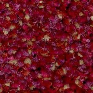 jhs Commercial Carpet: Impervious Cut Pile: Hospi-Style - Raspberry