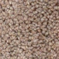 jhs Housebuilder Collection: Longdon Twist Premier - Latte
