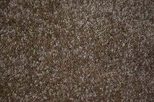 Regency Carefree Carpets: Luxor - Leather