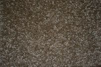 Regency: Nobelesque - Leather