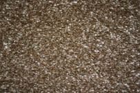 Regency: Nobelesque - Saddle