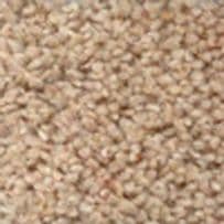 jhs Housebuilder Collection: Longdon Twist Premier - Sand