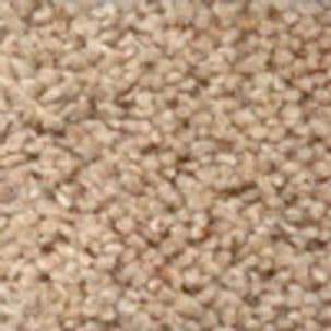 jhs Commercial Carpet: Housebuilder: Longdon Twist Premier - Sand