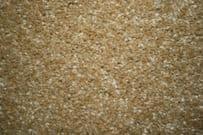 Regency: Nobelesque - Sand