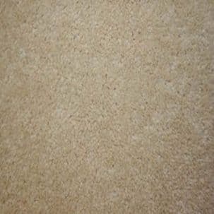 Regency Carefree Carpets: Cabaret Twist - Suede