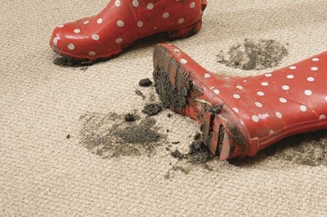Stainfree tweed