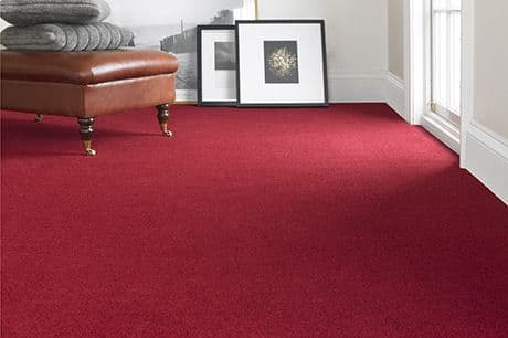 Wilton Royal Charter Supreme Gold