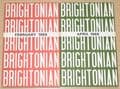 The Brightonian - A Collection of 19 Issues