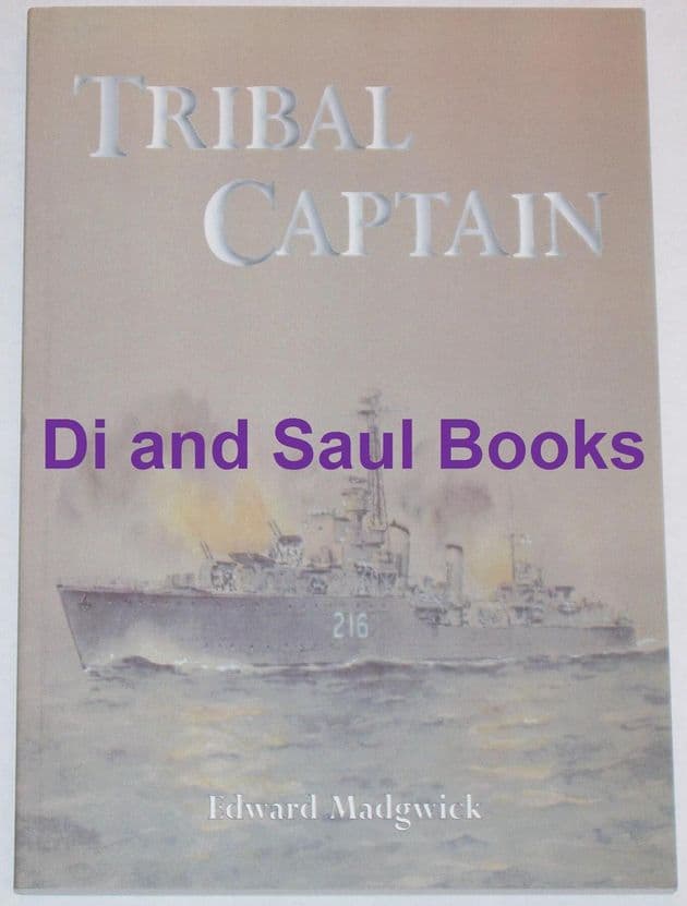 Tribal Captain, by Edward Madgwick
