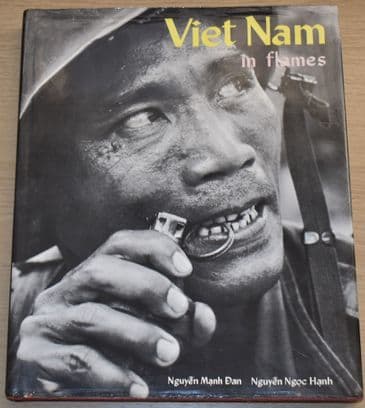 Viet Nam in Flames, by Nguyen Manh Dan & Nguyen Ngoc Hanh