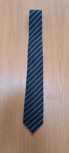 CREST ACADEMY TIE-Year Colour-BLUE