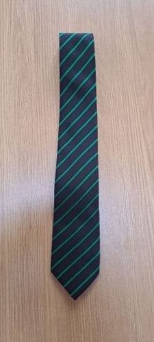 CREST ACADEMY TIE-Year Colour- GREEN