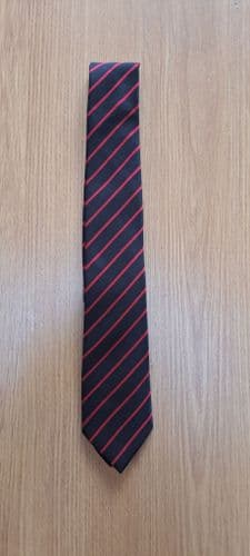 CREST ACADEMY TIE-Year Colour RED
