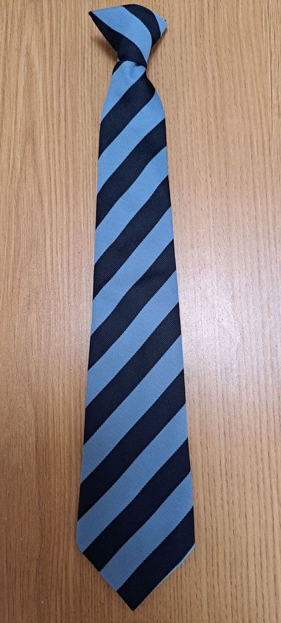 NORTH BRENT SCH> TIE- YEAR 10--- NAVY-LIGHT BLUE