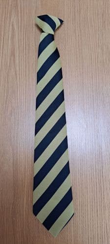 NORTH BRENT- TIE----YEAR 8-NAVY-YELLOW