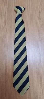 NORTH BRENT- TIE----YEAR 9---NAVY-YELLOW