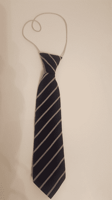 SCHOOL TIE- (elastic back)-WILBERFORCE PRIMARY SCHOOL