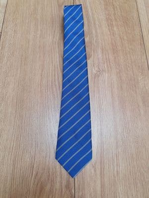 YEAR COLOUR   TIE-ALPERTON HIGH SCHOOL-BLUE