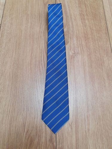 YEAR COLOUR   TIE-ALPERTON HIGH SCHOOL-BLUE